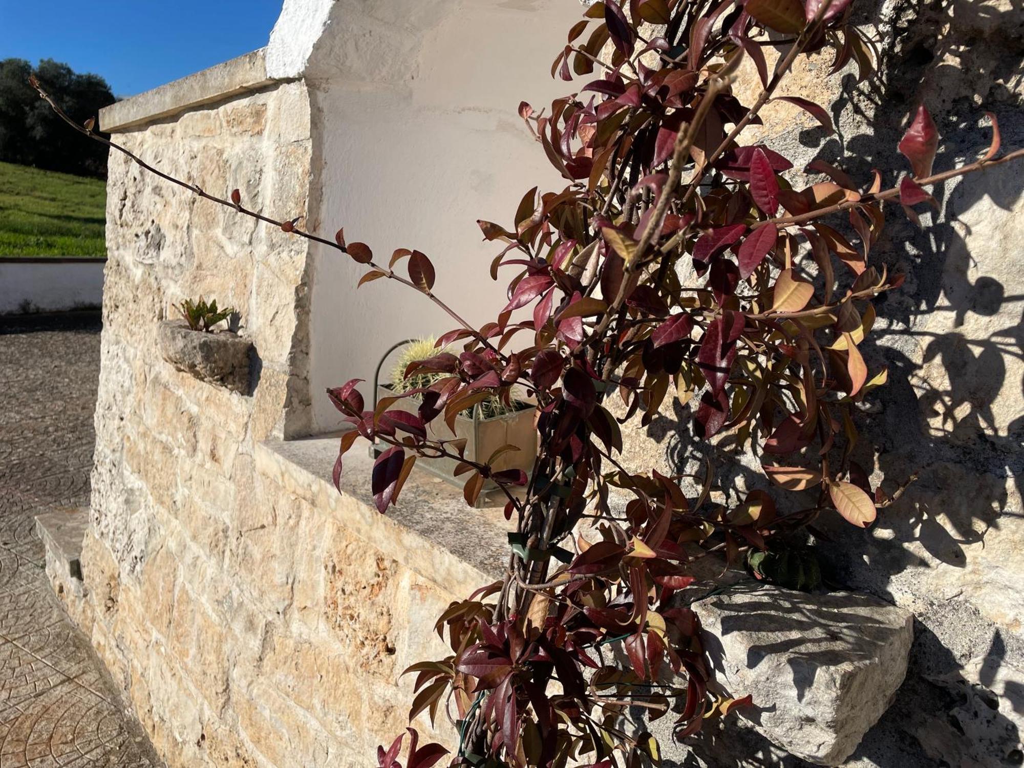 Вілла Trulli Del Sole Мартіна-Франка Екстер'єр фото