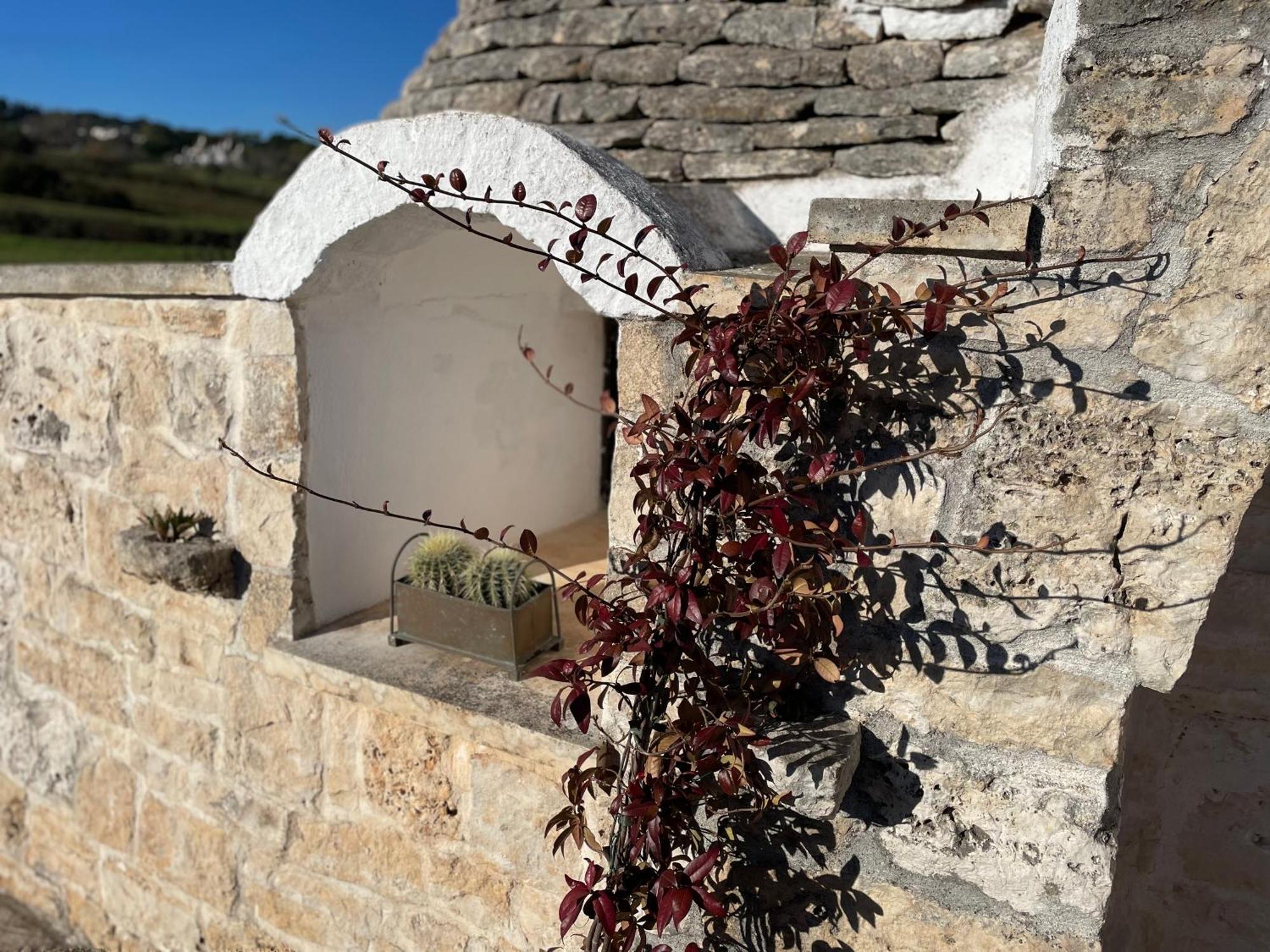 Вілла Trulli Del Sole Мартіна-Франка Екстер'єр фото